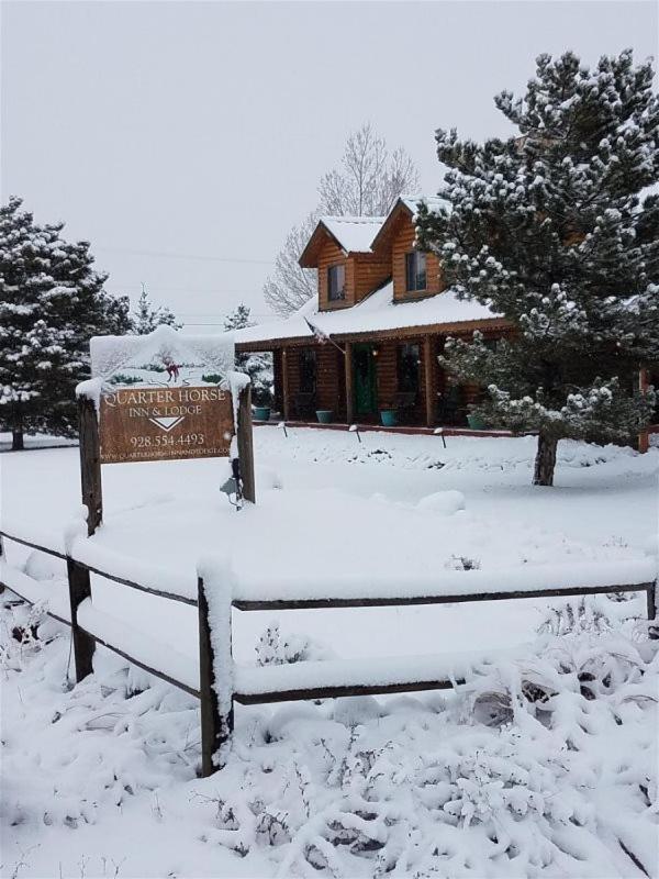 Quarter Horse Inn & Lodge Williams Exteriör bild